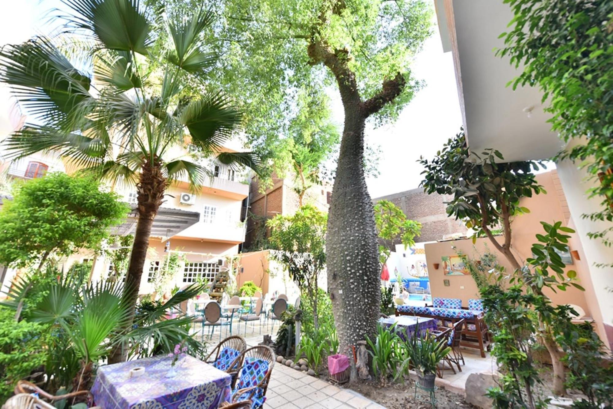 Amon Hotel Luksor Dış mekan fotoğraf
