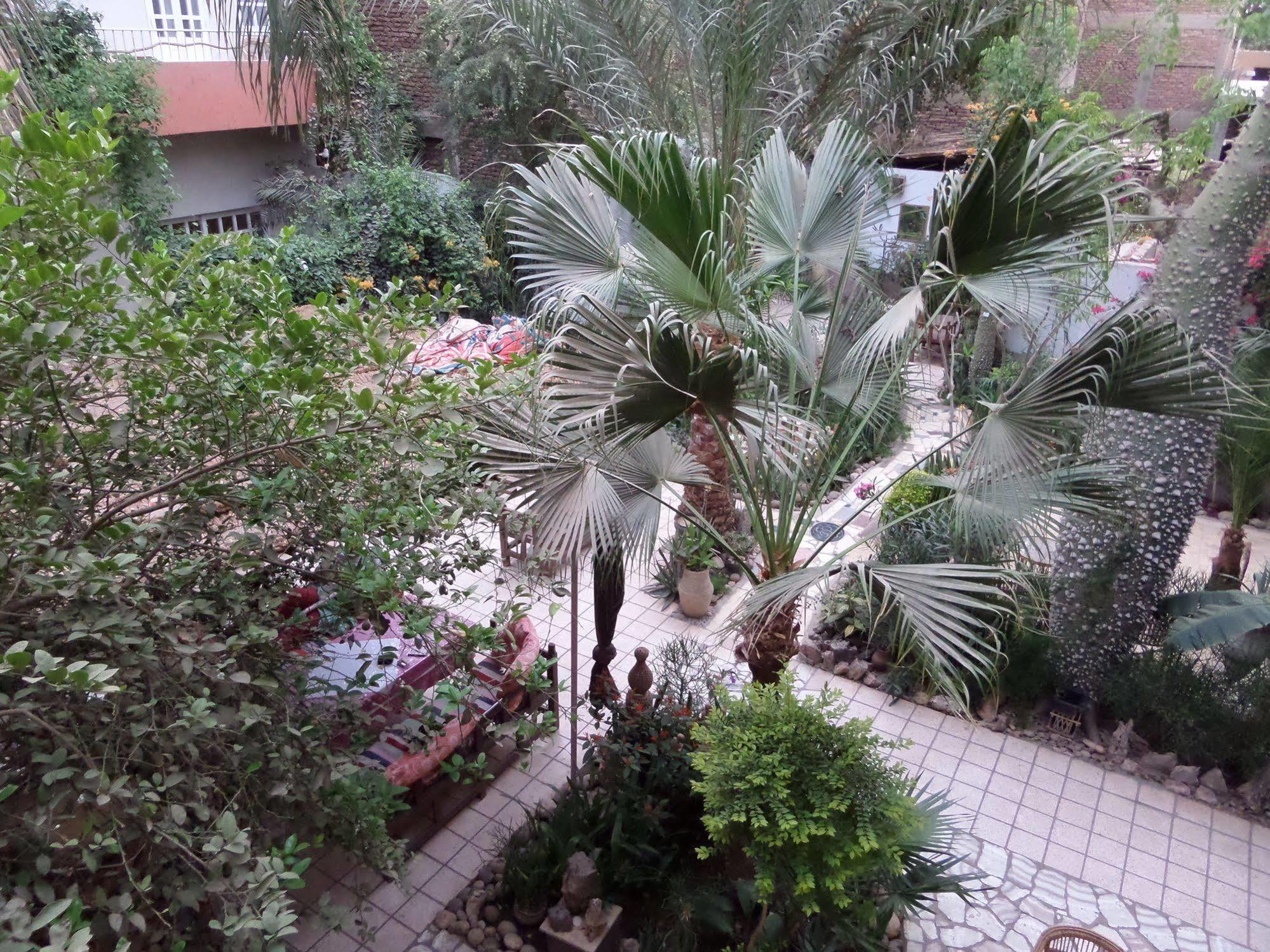 Amon Hotel Luksor Dış mekan fotoğraf