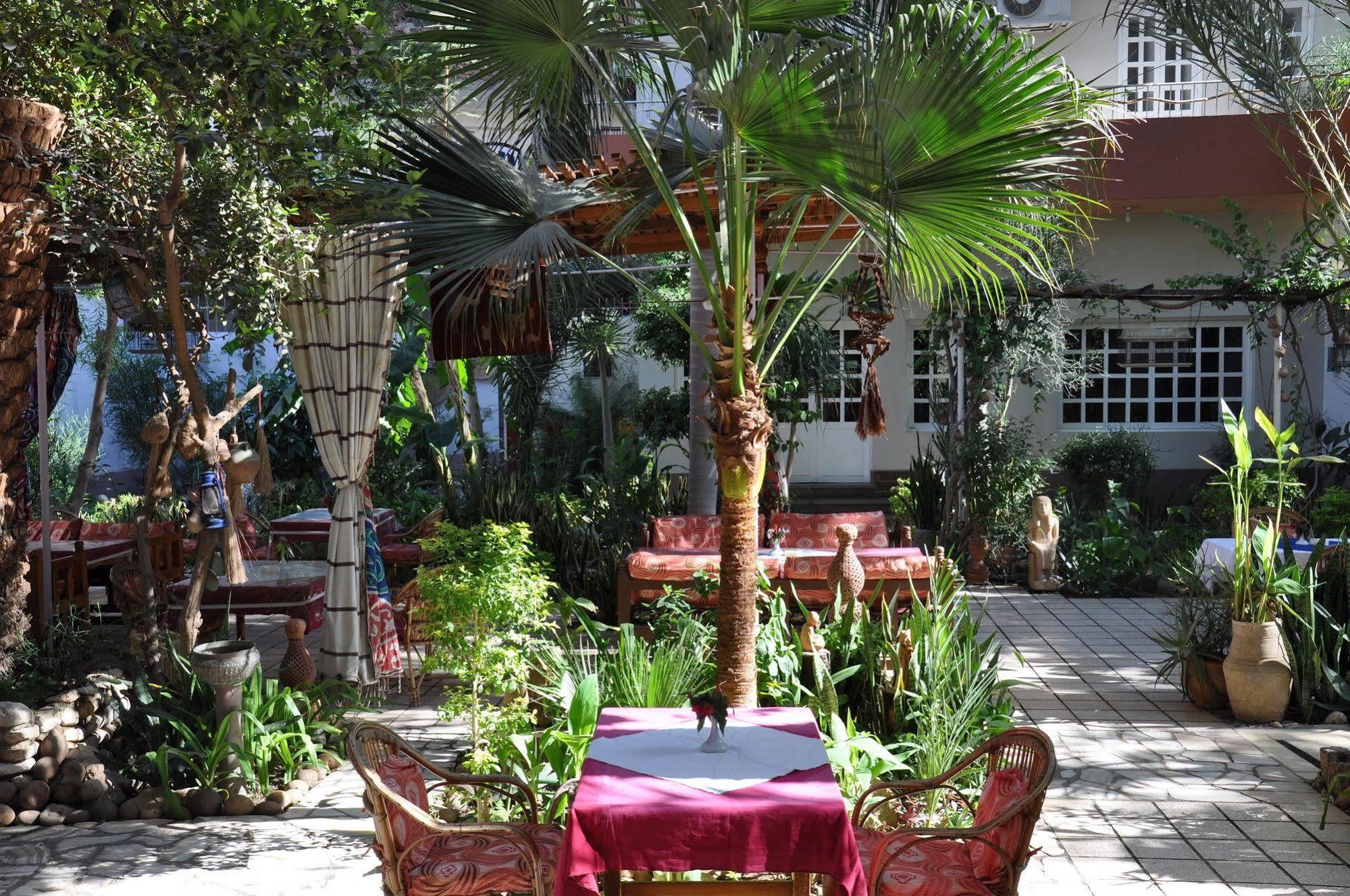 Amon Hotel Luksor Dış mekan fotoğraf